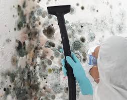 Mold Remediation for Rental Properties in Commerce City, CO